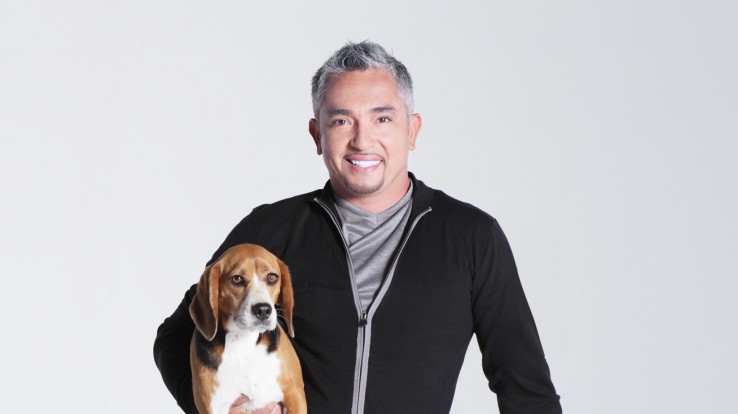 Cesar Millan live show in Budapest